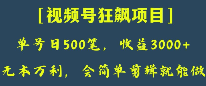 日收款500笔，纯利润3000+，视频号狂飙项目，会简单剪辑就能做【揭秘】-红薯资源库