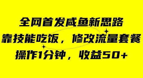 咸鱼冷门新玩法，靠“技能吃饭”，修改流量套餐，操作1分钟，收益50【揭秘】-红薯资源库