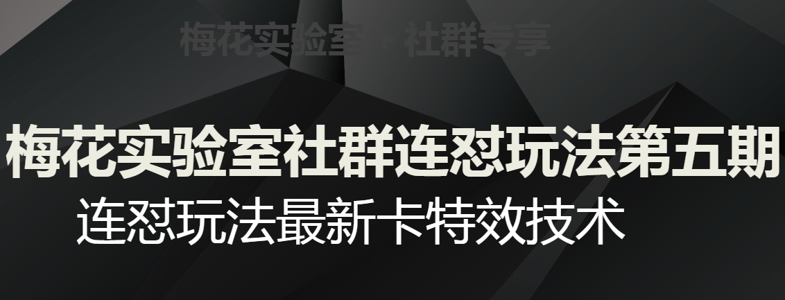 梅花实验室社群连怼玩法第五期，视频号连怼玩法最新卡特效技术-红薯资源库