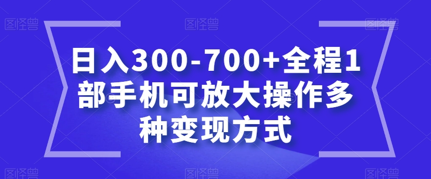 日入300-700+全程1部手机可放大操作多种变现方式【揭秘】-红薯资源库