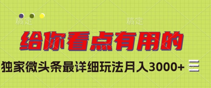 独家微头条最详细玩法，月入3000+【揭秘】-红薯资源库