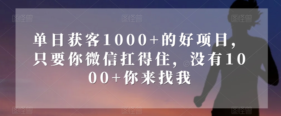 单日获客1000+的好项目，只要你微信扛得住，没有1000+你来找我【揭秘】-红薯资源库