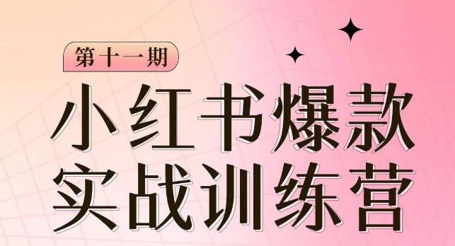 小红书博主爆款训练营第11期，手把手教你从0-1做小红书，从定位到起号到变现-红薯资源库