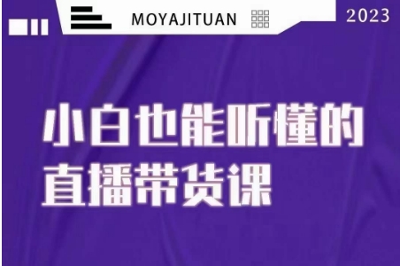 大威本威·能听懂的直播带货课，小白也能听懂，20节完整-红薯资源库