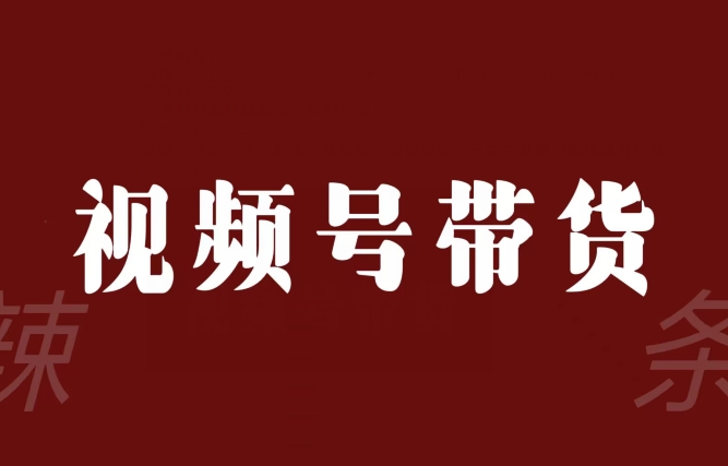 视频号带货联盟，赚信息差的带货钱，只需手机随时随地都可以做！-红薯资源库