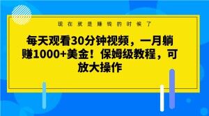 每天观看30分钟视频，一月躺赚1000+美金！保姆级教程，可放大操作【揭秘】-红薯资源库