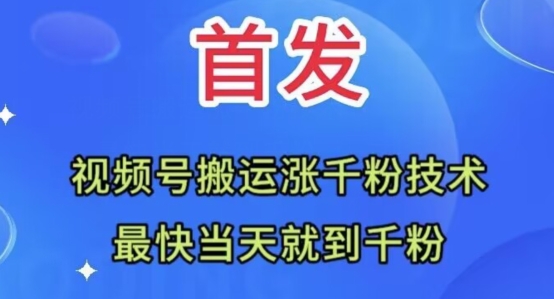 全网首发：视频号无脑搬运涨千粉技术，最快当天到千粉【揭秘】-红薯资源库