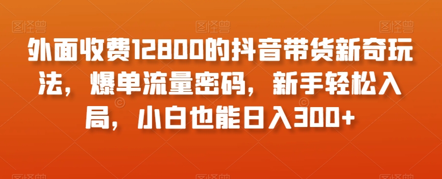 外面收费12800的抖音带货新奇玩法，爆单流量密码，新手轻松入局，小白也能日入300+【揭秘】-红薯资源库