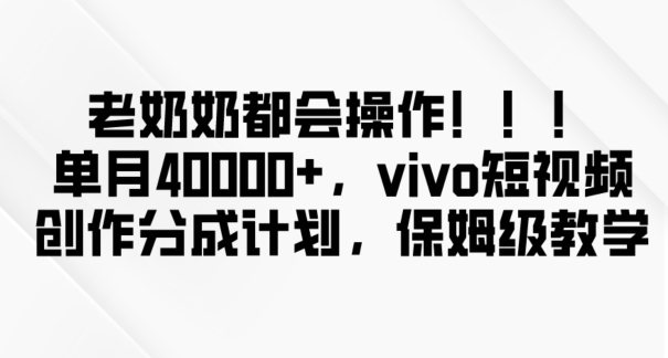 老奶奶都会操作，新平台无脑操作，单月40000+，vivo短视频创作分成计划【揭秘】-红薯资源库