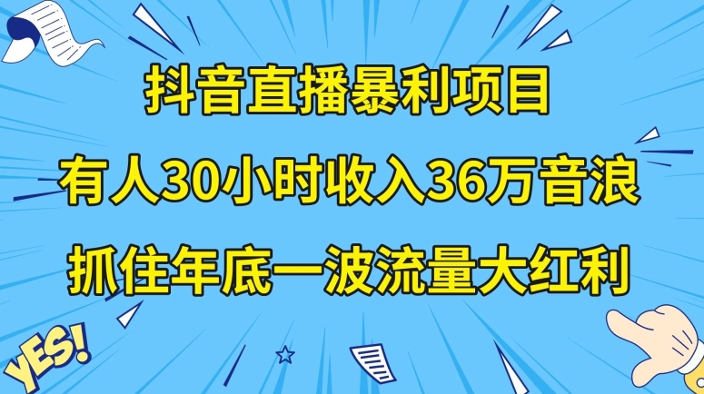 抖音直播暴利项目，有人30小时收入36万音浪，公司宣传片年会视频制作，抓住年底一波流量大红利【揭秘】-红薯资源库