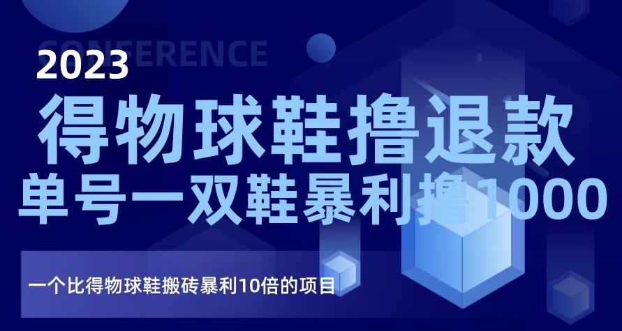 2023得物球鞋撸退款，单号一双鞋暴利撸1000，一个比得物球鞋搬砖暴利10倍的项目【揭秘】-红薯资源库