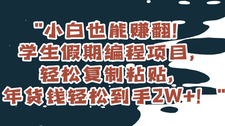 小白也能赚翻！学生假期编程项目，轻松复制粘贴，年货钱轻松到手2W+【揭秘】-红薯资源库