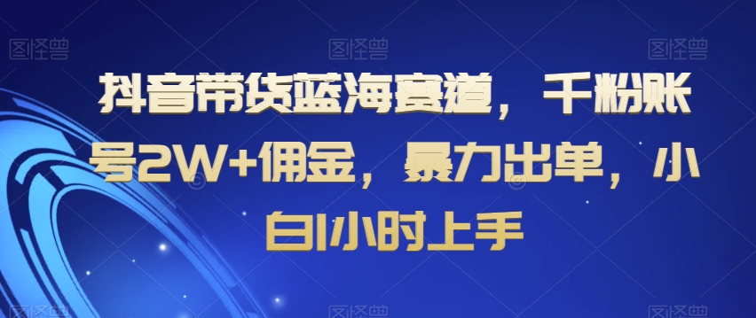 抖音带货蓝海赛道，千粉账号2W+佣金，暴力出单，小白1小时上手【揭秘】-红薯资源库