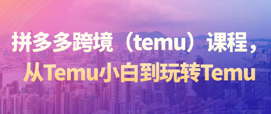 拼多多跨境（temu）课程，从Temu小白到玩转Temu-红薯资源库