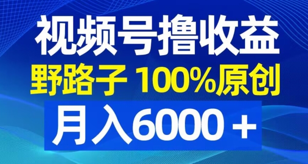 视频号野路子撸收益，100%原创，条条爆款，月入6000＋【揭秘】-红薯资源库