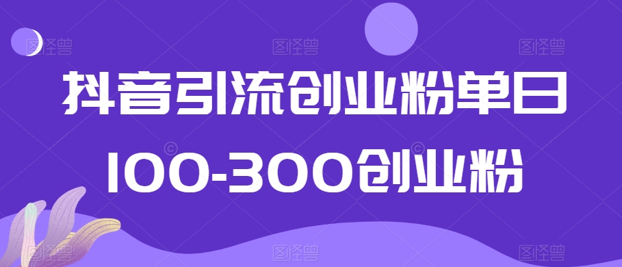 抖音引流创业粉单日100-300创业粉【揭秘】-红薯资源库