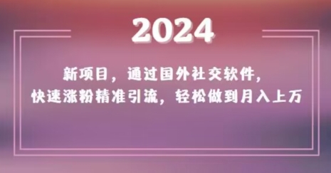 2024新项目，通过国外社交软件，快速涨粉精准引流，轻松做到月入上万【揭秘】-红薯资源库