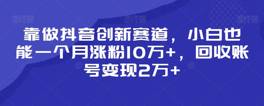 靠做抖音创新赛道，小白也能一个月涨粉10万+，回收账号变现2万+【揭秘】-红薯资源库