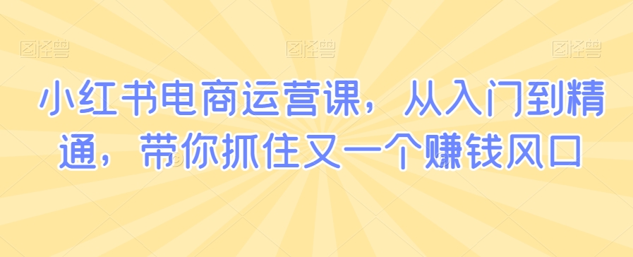 小红书电商运营课，从入门到精通，带你抓住又一个赚钱风口-红薯资源库