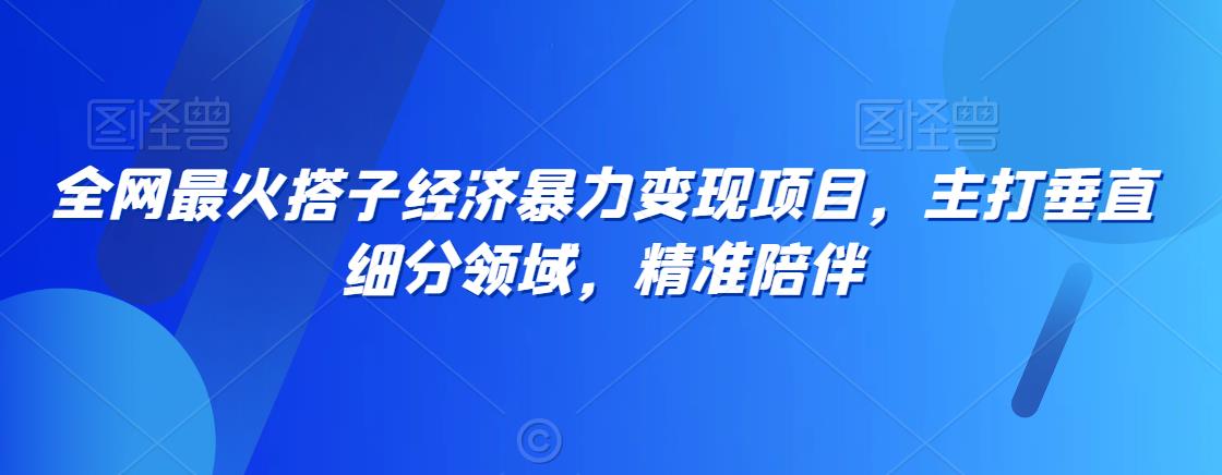 全网最火搭子经济暴力变现项目，主打垂直细分领域，精准陪伴【揭秘】-红薯资源库