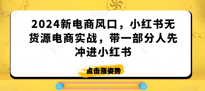 2024新电商风口，小红书无货源电商实战，带一部分人先冲进小红书-红薯资源库