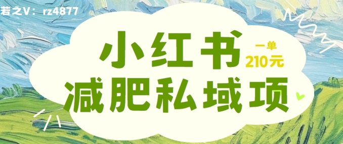 小红书减肥粉，私域变现项目，一单就达210元，小白也能轻松上手【揭秘】 小红书减肥粉项目-红薯资源库