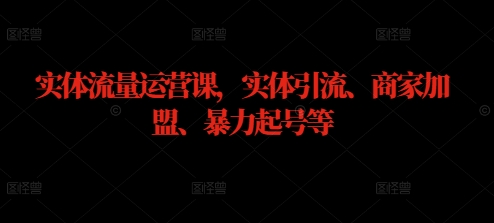 实体流量运营课，实体引流、商家加盟、暴力起号等 流量运营是做什么的[db:副标题]-红薯资源库