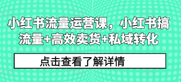 小红书流量运营课，小红书搞流量+高效卖货+私域转化 小红书流量运营是做-红薯资源库