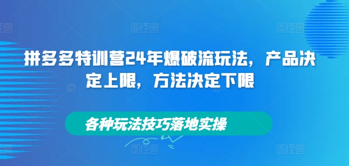 拼多多特训营24年爆破流玩法，产品决定上限，方法决定下限，各种玩法技巧落地实操 拼多多特训营是干什么的-红薯资源库