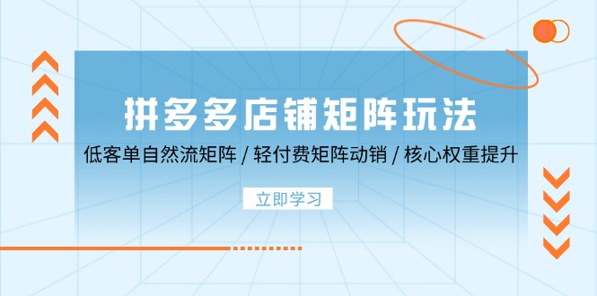 拼多多店铺矩阵玩法：低客单自然流矩阵 / 轻付费矩阵 动销 / 核心权重提升 拼多多店铺矩阵玩法[db:副标题]-红薯资源库