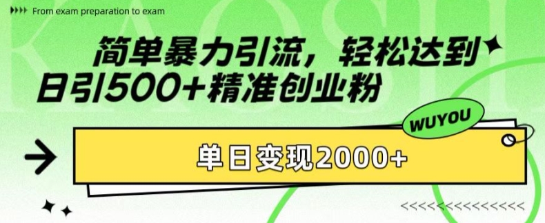 简单暴力引流，轻松达到日引500+精准创业粉，单日变现2k[db:副标题]-红薯资源库