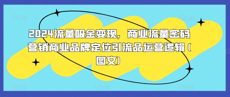 2024流量吸金变现，商业流量密码营销商业品牌定位引流品运营逻辑(图文)[db:副标题]-红薯资源库