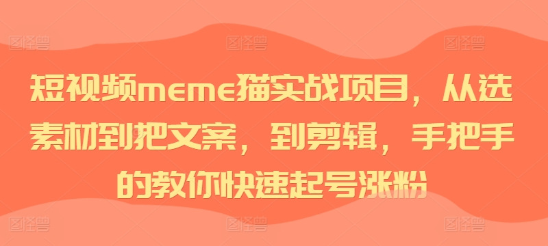 短视频meme猫实战项目，从选素材到把文案，到剪辑，手把手的教你快速起号涨粉[db:副标题]-红薯资源库