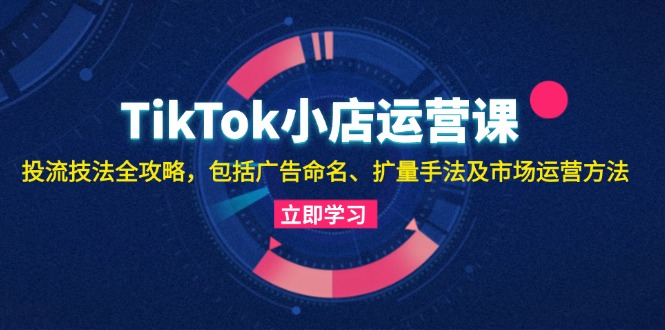 TikTok小店运营课：投流技法全攻略，包括广告命名 扩量手法及市场运营方法[db:副标题]-红薯资源库