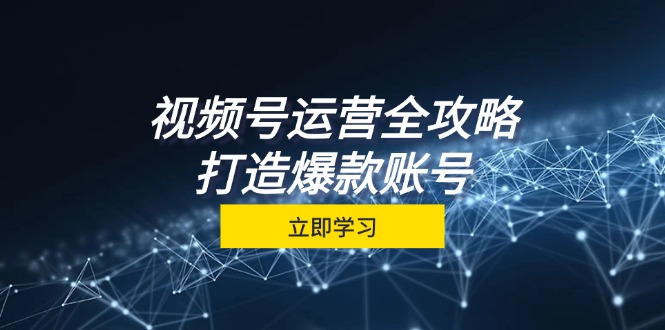 视频号运营全攻略，从定位到成交一站式学习，视频号核心秘诀，打造爆款账号[db:副标题]-红薯资源库