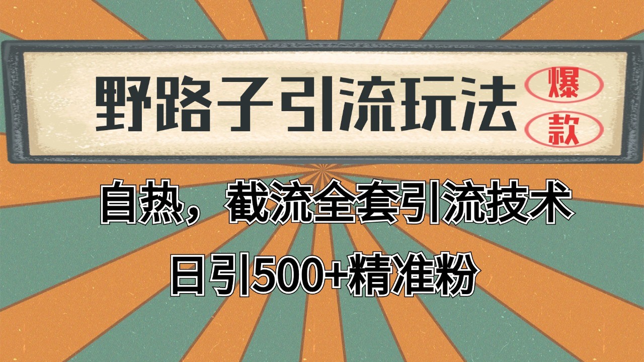 图片[1]-抖音小红书视频号全平台引流打法，全自动引流日引2000+精准客户[db:副标题]-红薯资源库