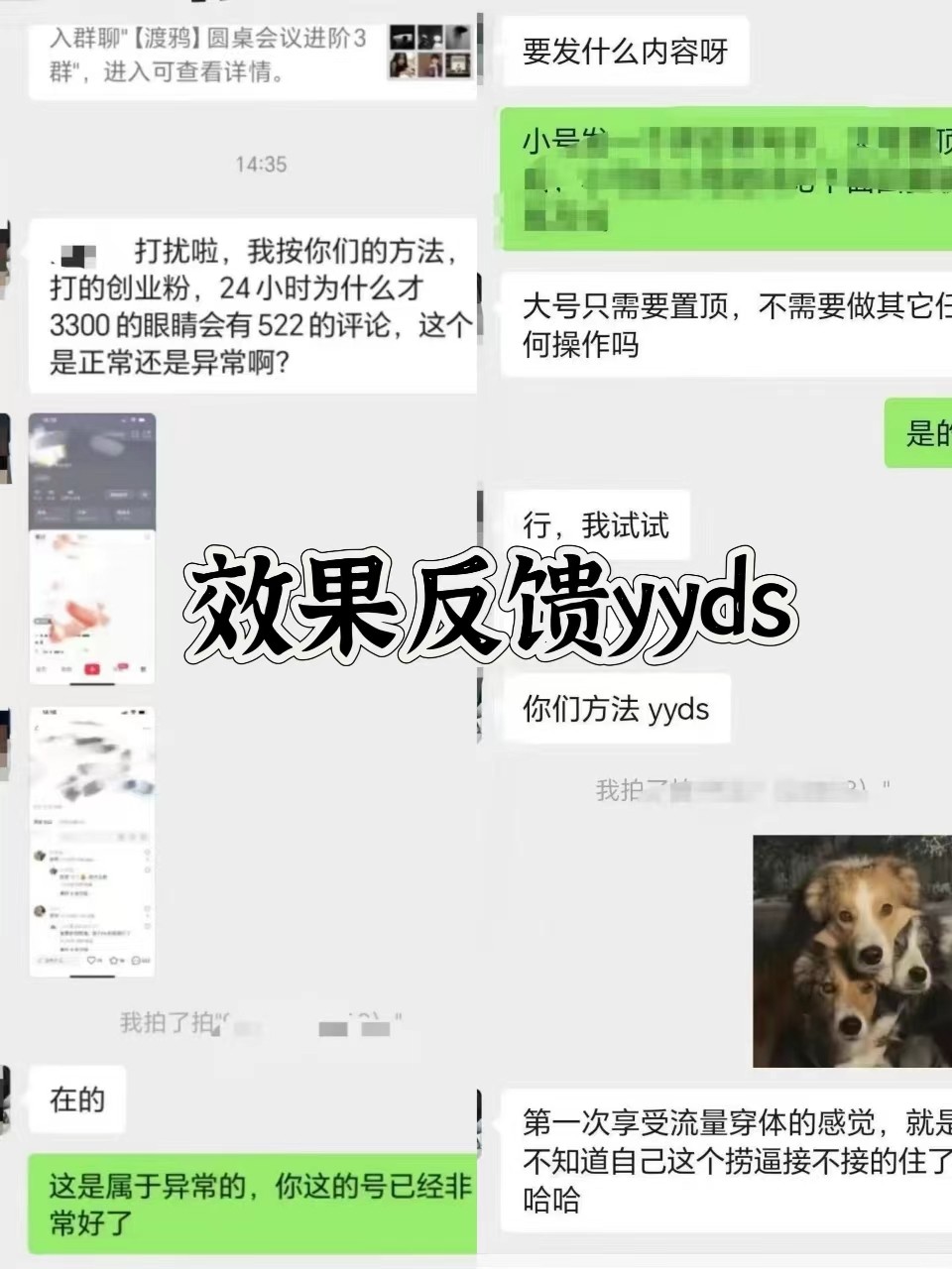 图片[3]-抖音小红书视频号全平台引流打法，全自动引流日引2000+精准客户[db:副标题]-红薯资源库