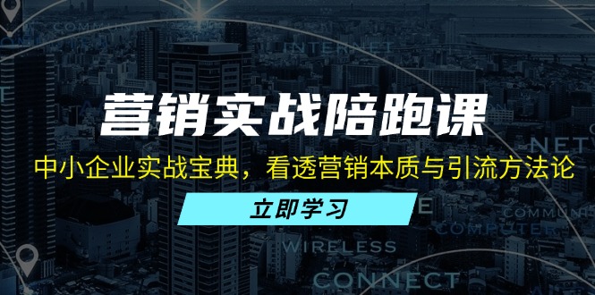 （13146期）营销实战陪跑课：中小企业实战宝典，看透营销本质与引流方法论[db:副标题]-红薯资源库