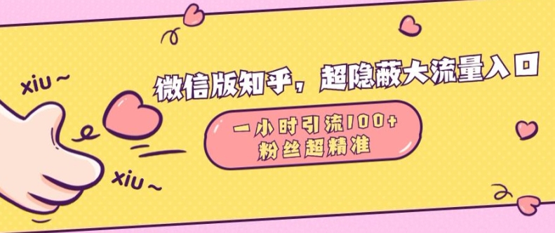 微信版知乎，超隐蔽流量入口1小时引流100人，粉丝质量超高[db:副标题]-红薯资源库