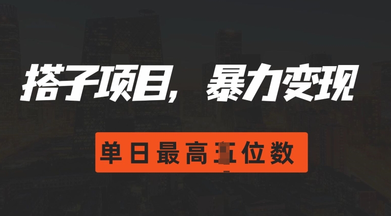 2024搭子玩法，0门槛，暴力变现，单日最高破四位数[db:副标题]-红薯资源库