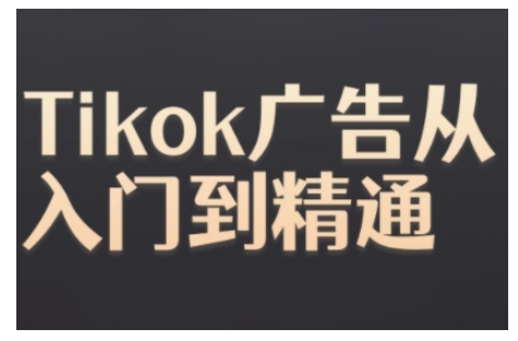 Tiktok Ads实操教程，Tiktok广告从入门到精通[db:副标题]-红薯资源库