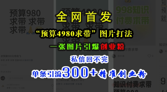 小红书“预算4980带我飞”图片打法，一张图片引爆创业粉，私信回不完，单条引流300+精准创业粉[db:副标题]-红薯资源库