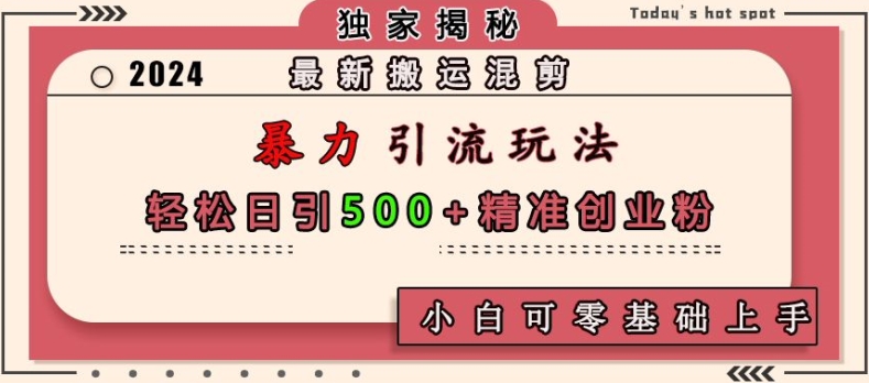 最新搬运混剪暴力引流玩法，轻松日引500+精准创业粉，小白可零基础上手[db:副标题]-红薯资源库