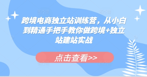 跨境电商独立站训练营，从小白到精通手把手教你做跨境+独立站建站实战[db:副标题]-红薯资源库