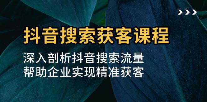 抖音搜索获客课程：深入剖析抖音搜索流量，帮助企业实现精准获客[db:副标题]-红薯资源库