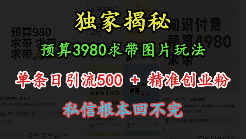 预算3980求带 图片玩法，单条日引流500+精准创业粉，私信根本回不完[db:副标题]-红薯资源库