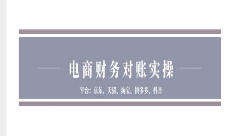 电商财务对账实操-京东天猫淘宝拼多多抖音电商财务对账[db:副标题]-红薯资源库